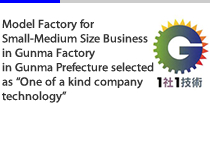 Model Factory for Small-Medium Size Business in Gunma. Gunma Prefecture selected as One of a kind company technology.